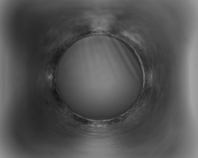 X0000088481254200705291620