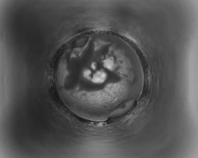 X0000088481255200705291620