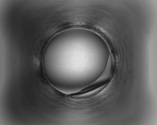 X0000088481257200705291620
