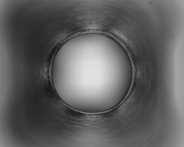 X0000088481258200705291620