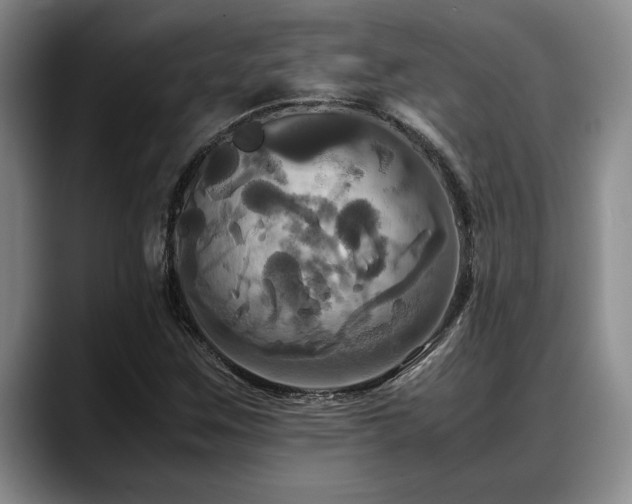 X0000088481259200705291620