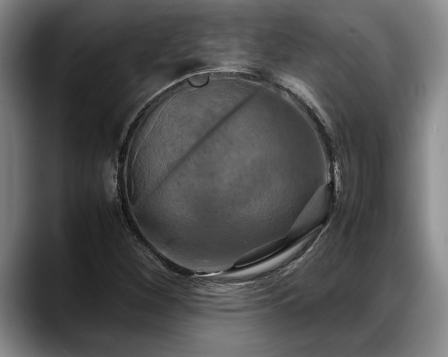 X0000088481260200705291620