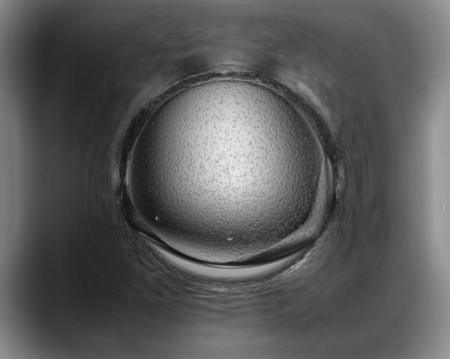X0000088481261200705291620