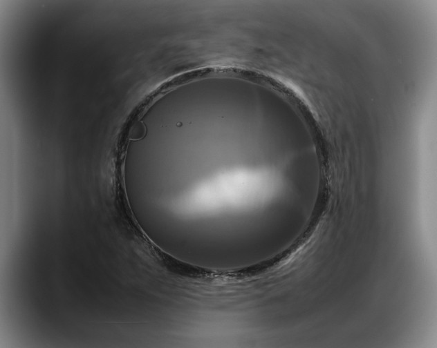 X0000088481263200705291620