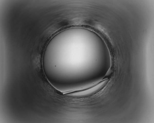 X0000088481265200705291620