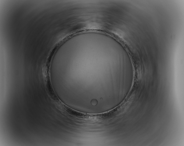 X0000088481266200705291620