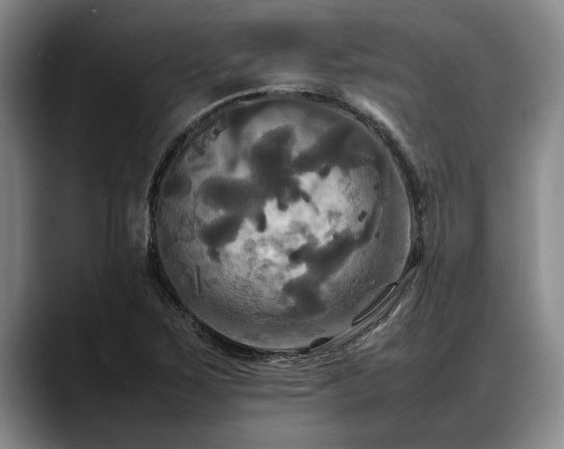 X0000088481267200705291620