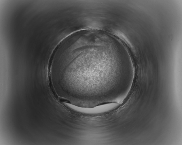 X0000088481268200705291620