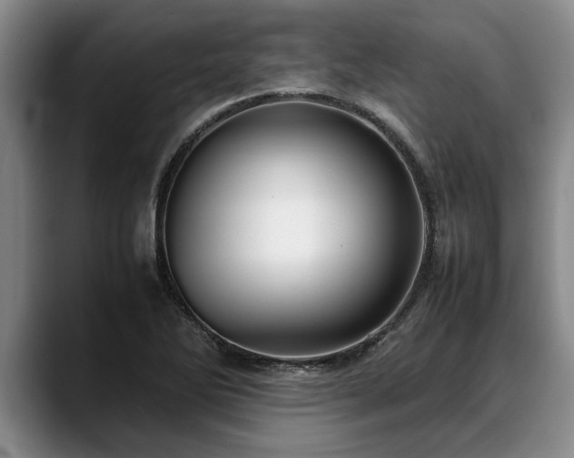 X0000088481270200705291620