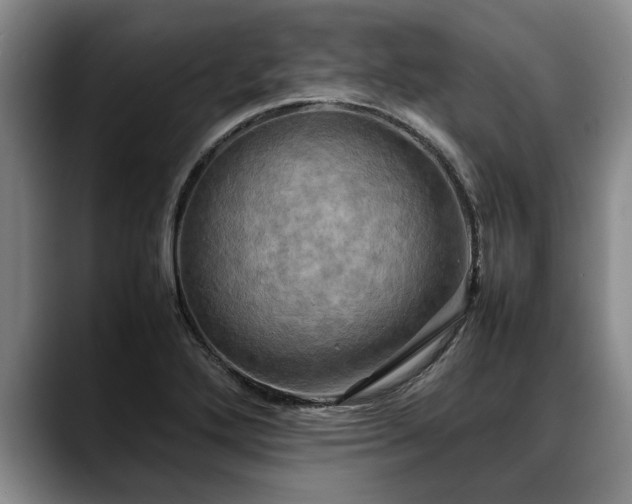 X0000088481272200705291620