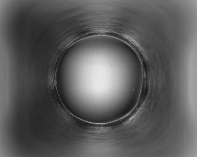 X0000088481273200705291620