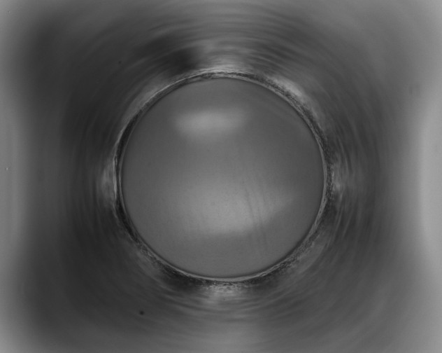 X0000088481274200705291620