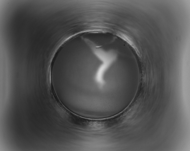 X0000088481275200705291620