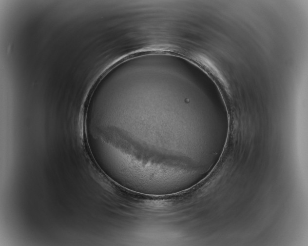 X0000088481276200705291620