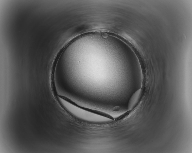 X0000088481277200705291620