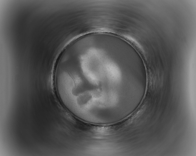 X0000088481278200705291620