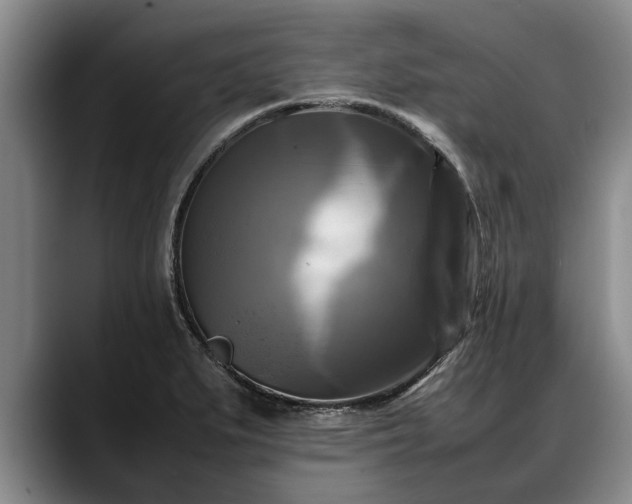 X0000088481279200705291620