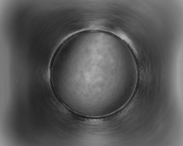 X0000088481280200705291620