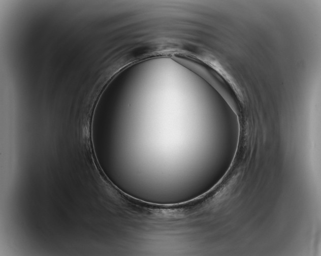X0000088481281200705291620
