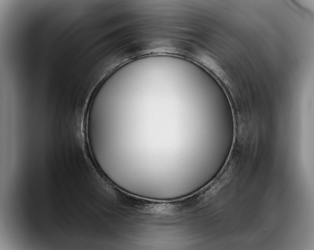 X0000088481282200705291620
