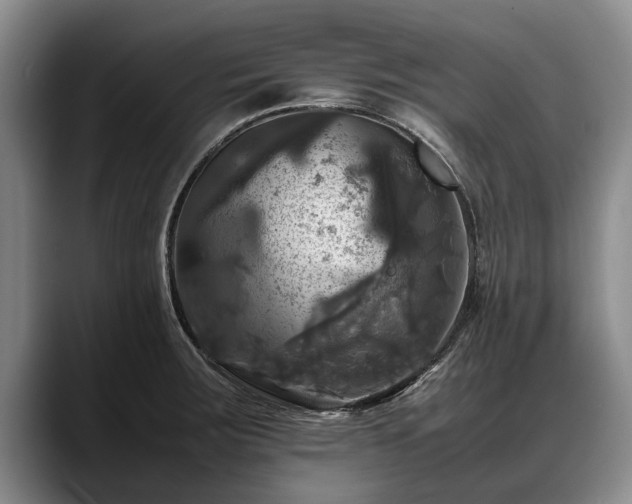 X0000088481283200705291620