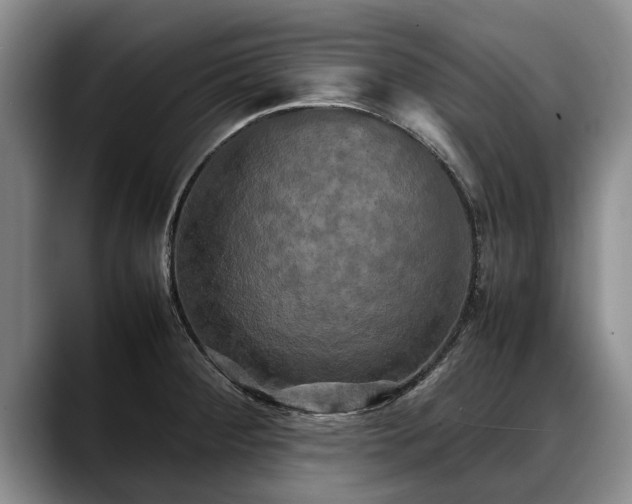 X0000088481284200705291620