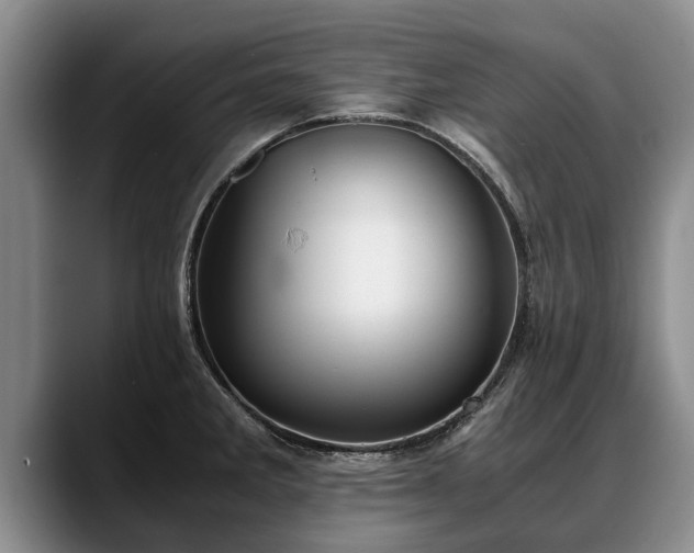 X0000088481285200705291620