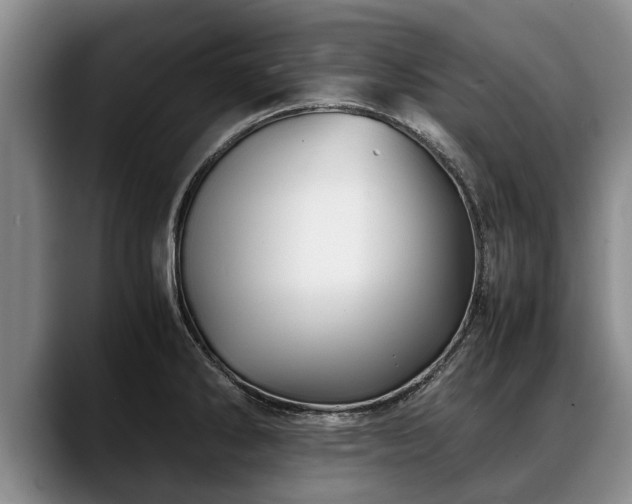 X0000088481286200705291620