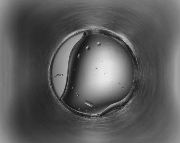 X0000088481287200705291620