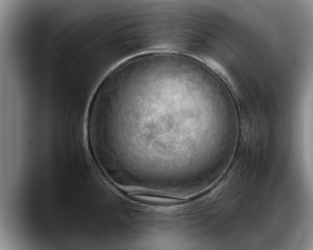 X0000088481288200705291620