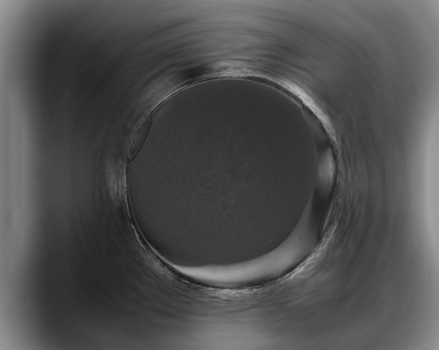 X0000088481289200705291620