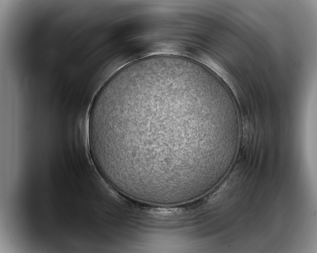 X0000088481290200705291620