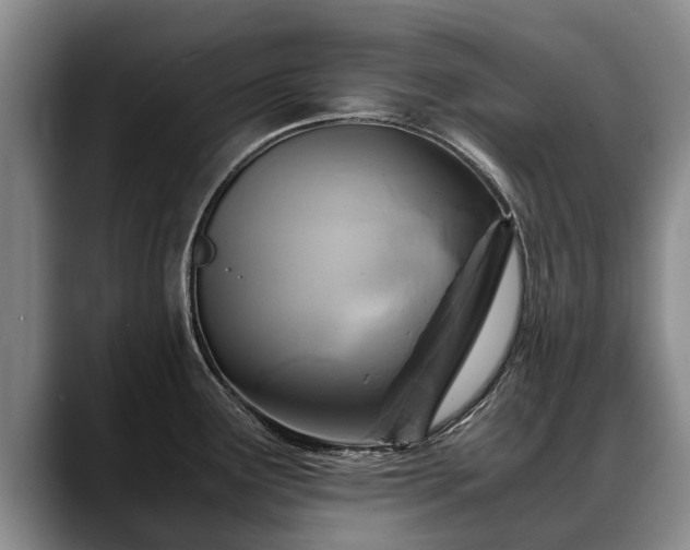 X0000088481291200705291620