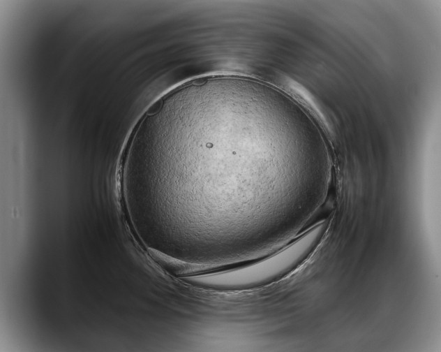 X0000088481292200705291620