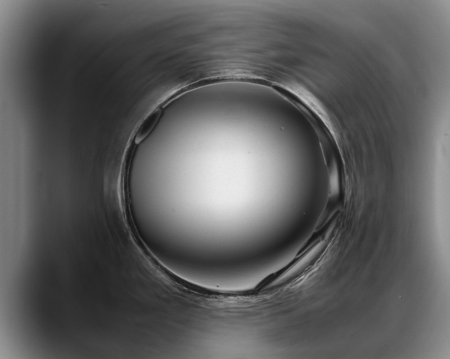 X0000088481293200705291620