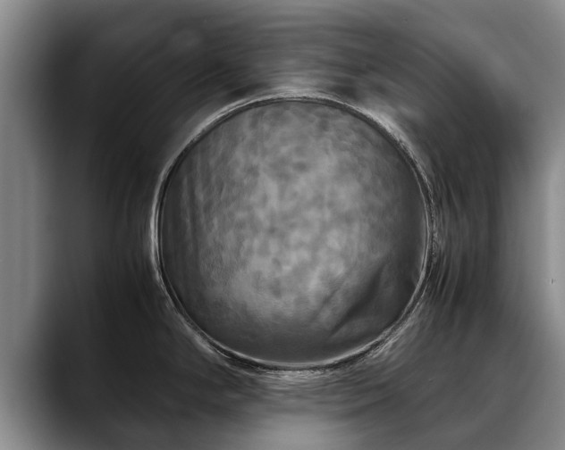 X0000088481294200705291620