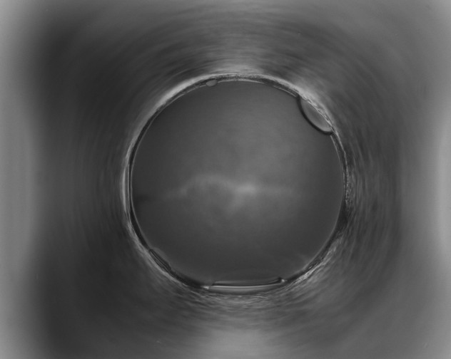 X0000088481295200705291620