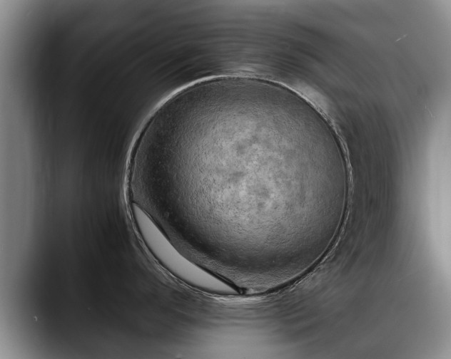 X0000088481296200705291620