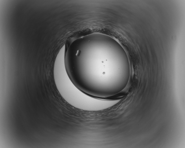 X0000088481298200705291619