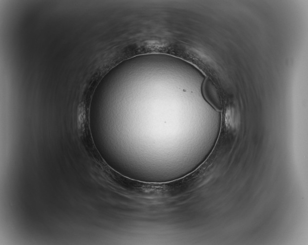X0000088481299200705291619