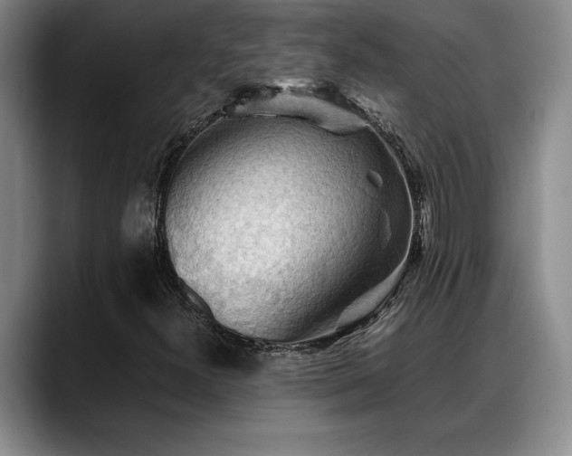 X0000088481300200705291619