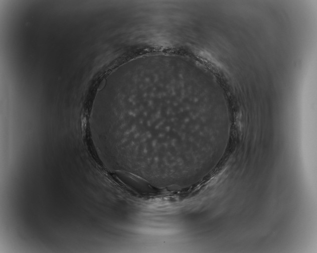 X0000088481302200705291619