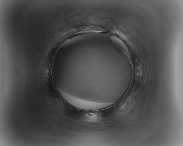 X0000088481303200705291619