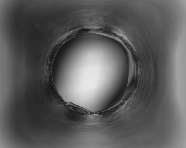 X0000088481304200705291619