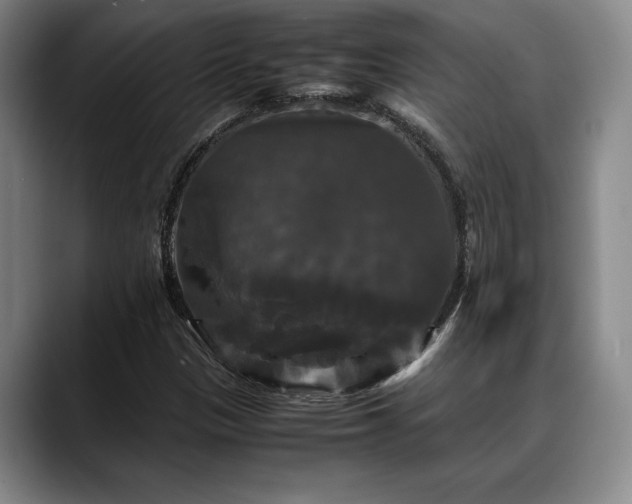X0000088481305200705291619