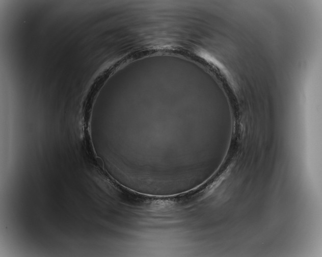 X0000088481306200705291619