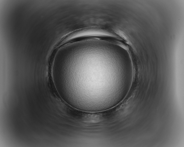 X0000088481307200705291619