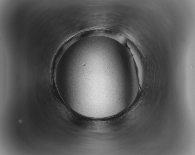 X0000088481308200705291619