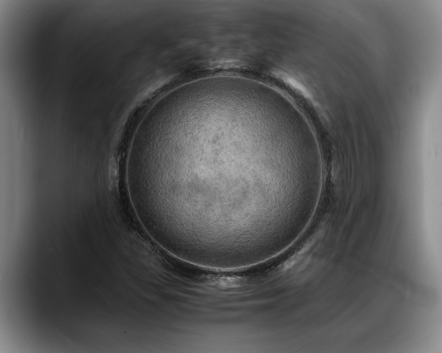X0000088481309200705291619