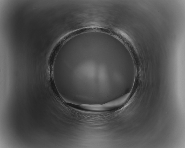 X0000088481310200705291619